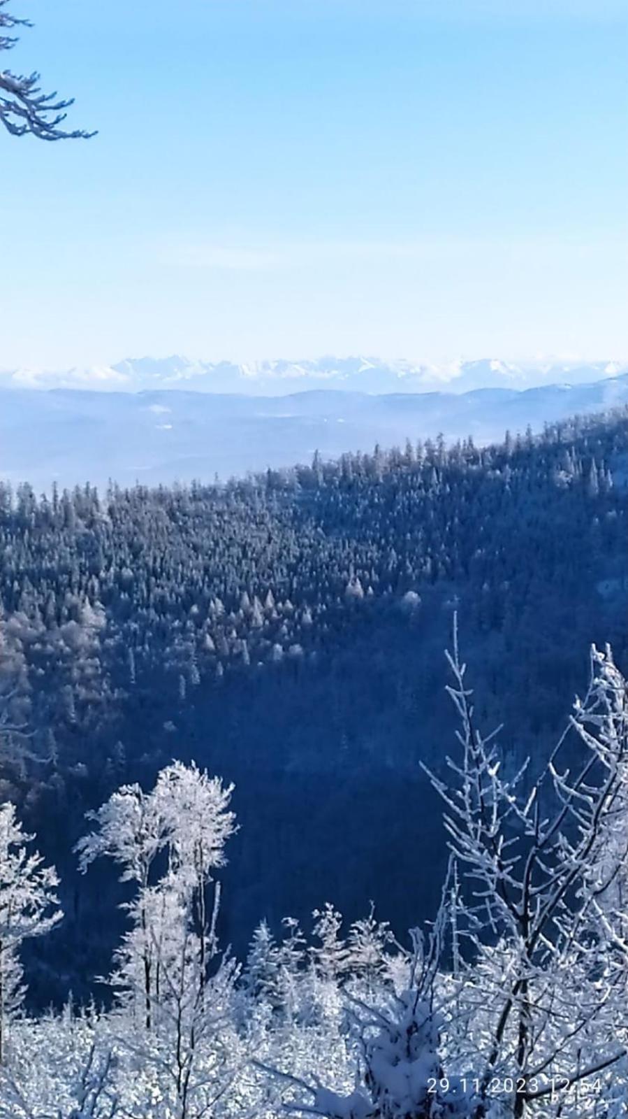 Dom Wypoczynkowy Pod Polanka Korbielów Exteriér fotografie