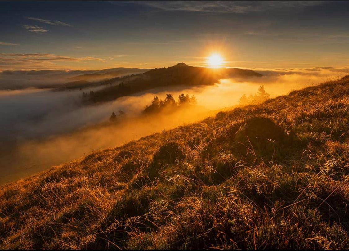 Hotel Dom Wypoczynkowy Pod Polanka Korbielów Exteriér fotografie