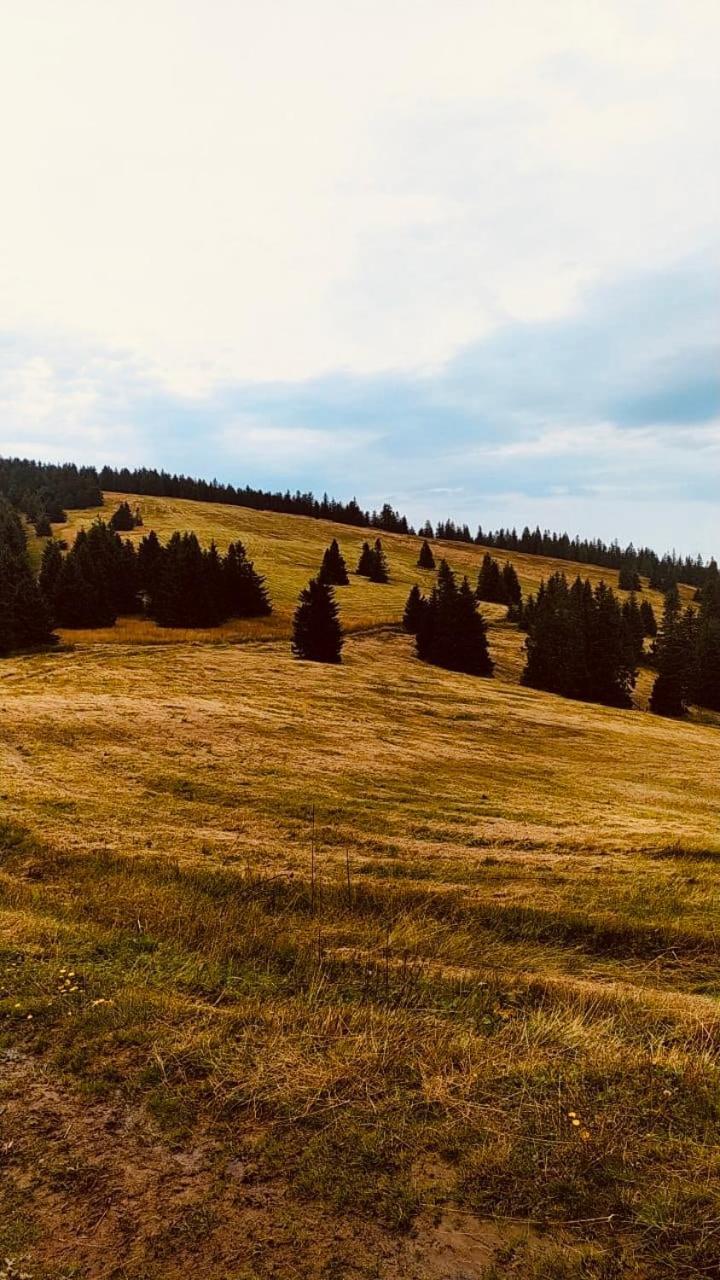 Hotel Dom Wypoczynkowy Pod Polanka Korbielów Exteriér fotografie