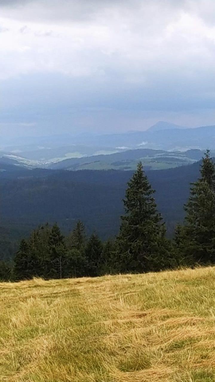 Hotel Dom Wypoczynkowy Pod Polanka Korbielów Exteriér fotografie