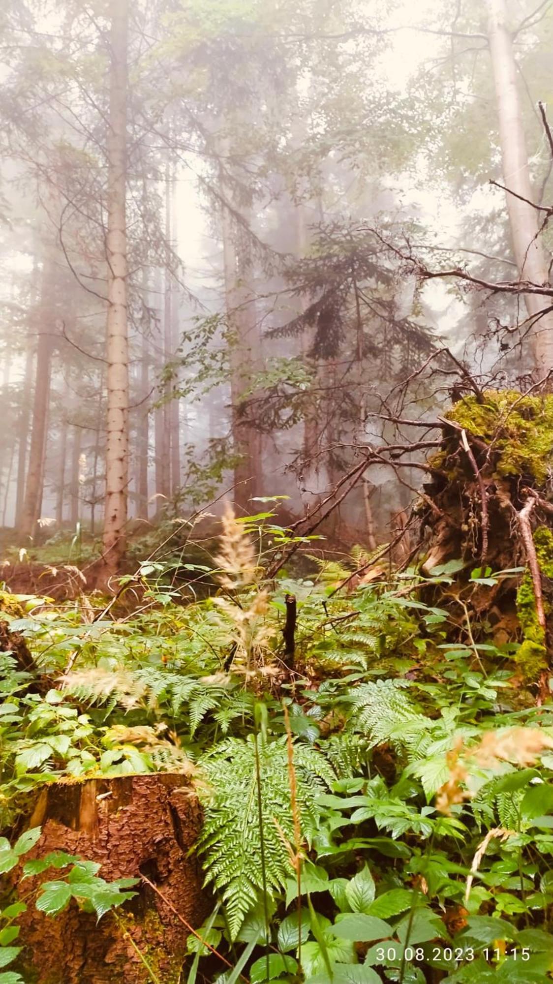 Dom Wypoczynkowy Pod Polanka Korbielów Exteriér fotografie