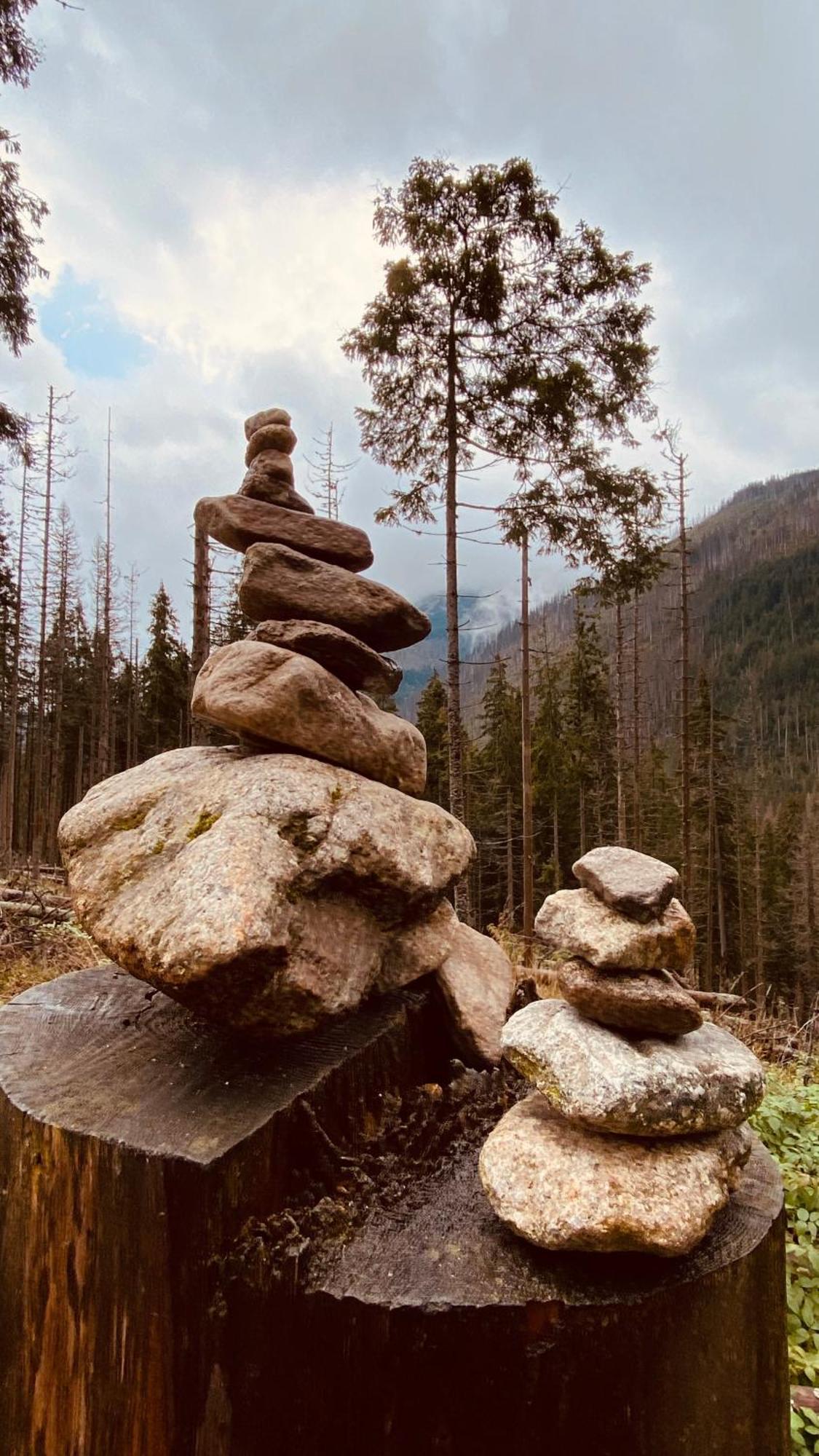 Dom Wypoczynkowy Pod Polanka Korbielów Exteriér fotografie