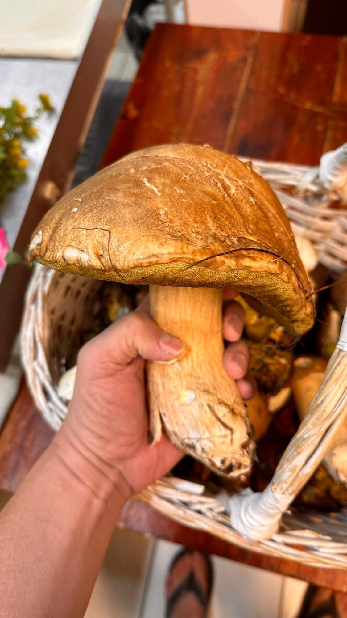 Dom Wypoczynkowy Pod Polanka Korbielów Exteriér fotografie